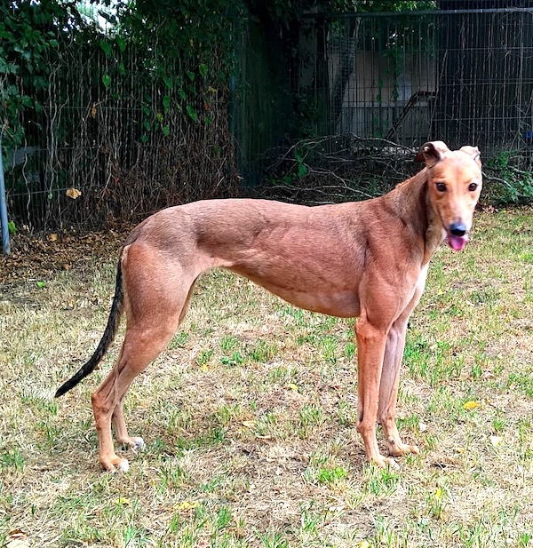 Can you give Jody a new home