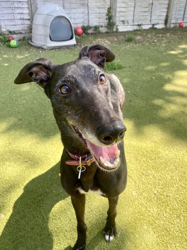 Can you give May a new home