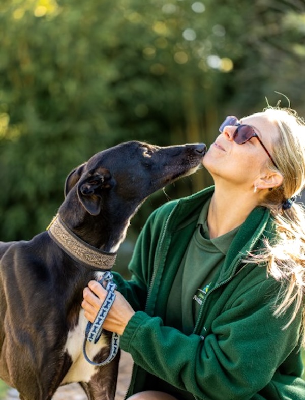 Can you give Rustle a new home