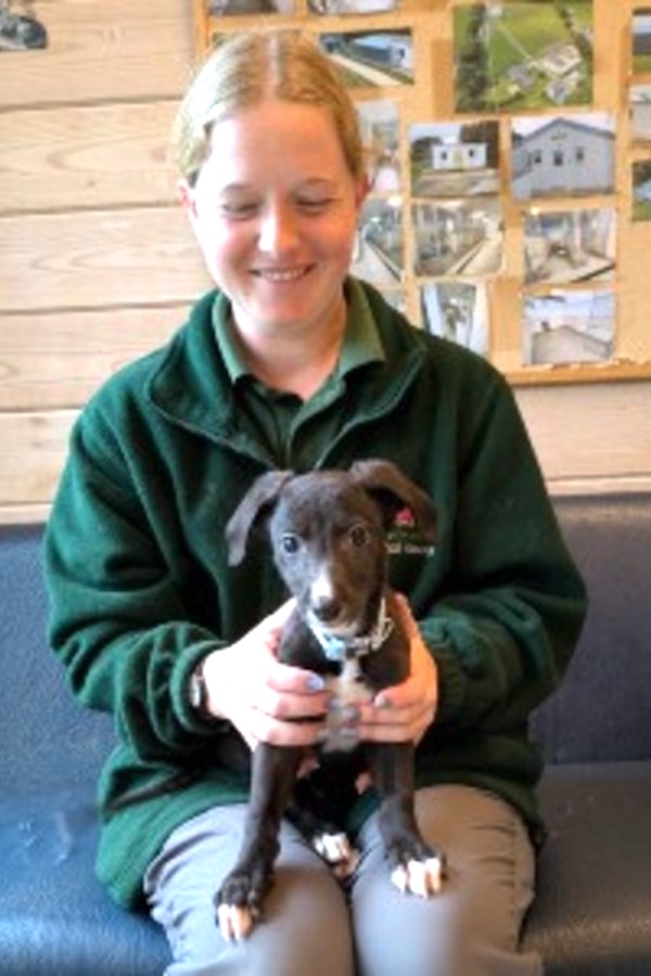 Can you give Sonny a new home