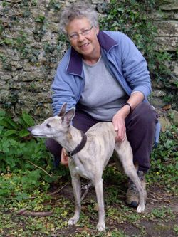 Photo for Dash out with her owner around Abbotsbury.