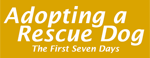 Adopting a Rescue Dog eBook