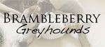 Brambleberry Greyhounds