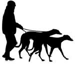 Greyhound Walks